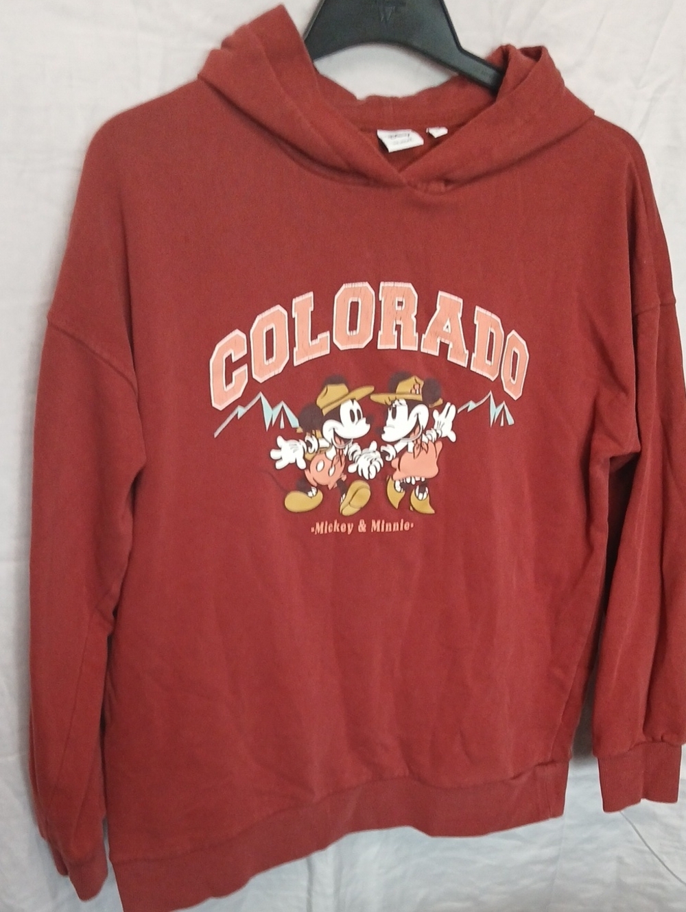 Disney Brick Red Pullover Sweatshirt